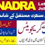 NADRA Jobs 2025 – Apply Online for Junior Executive and Data Entry Operator